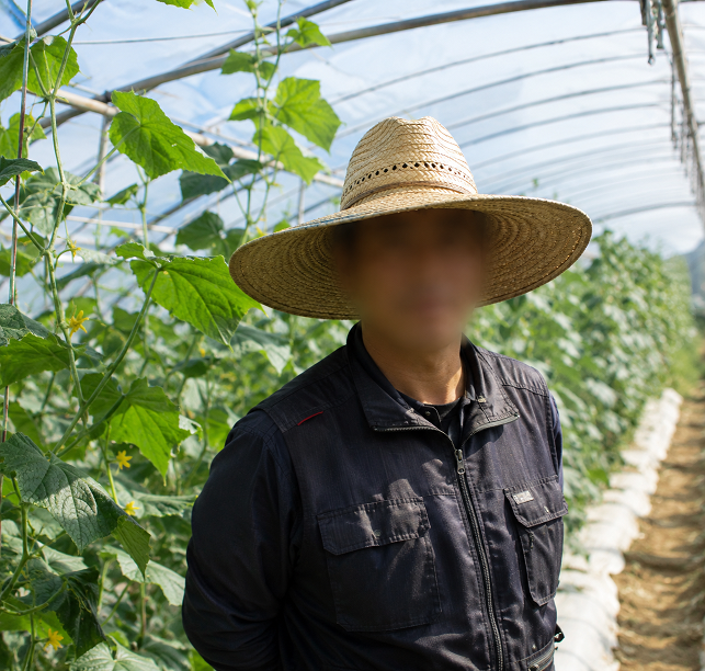 Mr. Song, farm owner, South Korea